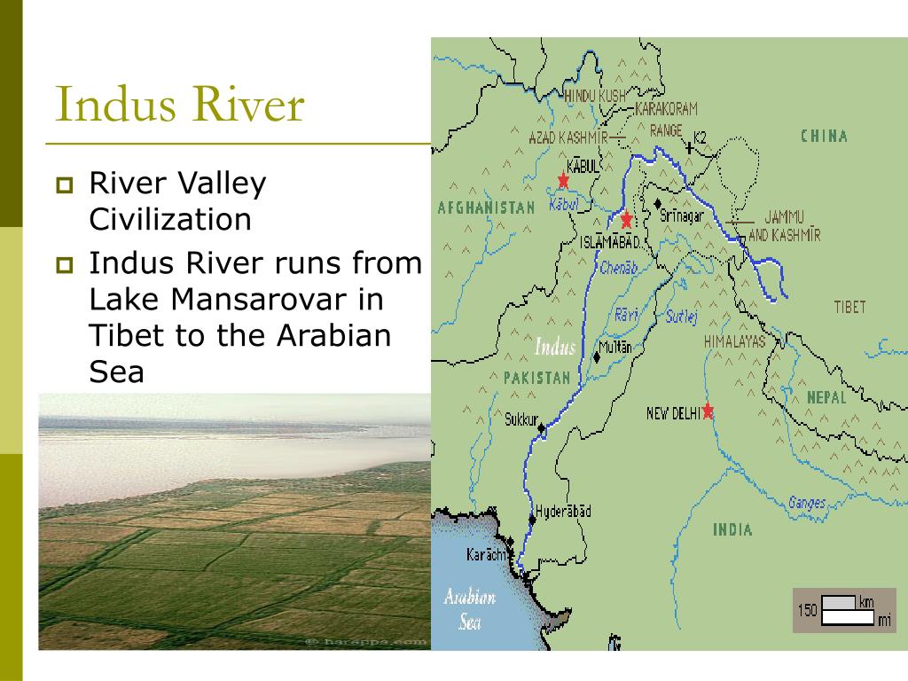 PPT Indus Valley Civilization PowerPoint Presentation, free download