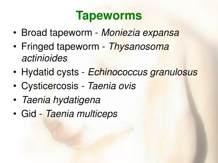 PPT Parasites of Goats PowerPoint Presentation ID1136486