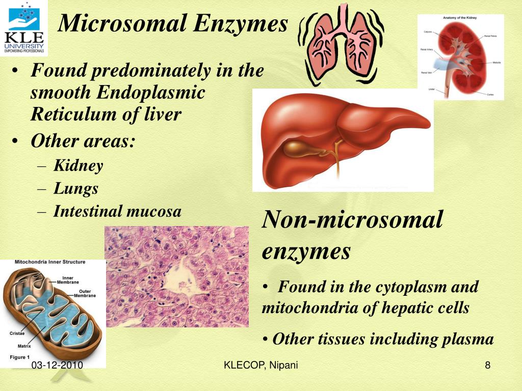 PPT BIOTRANSFORMATION PowerPoint Presentation, free download ID1137530
