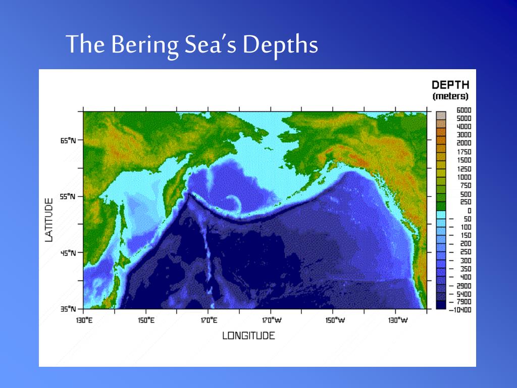 PPT The Bering Sea PowerPoint Presentation, free download ID113790