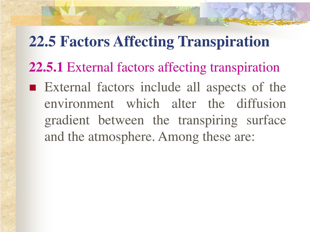 PPT Chapter 22 Uptake and Transport in Plants PowerPoint Presentation