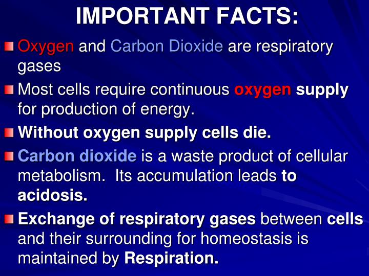 PPT INTRODUCTION TO THE RESPIRATORY SYSTEM PowerPoint Presentation