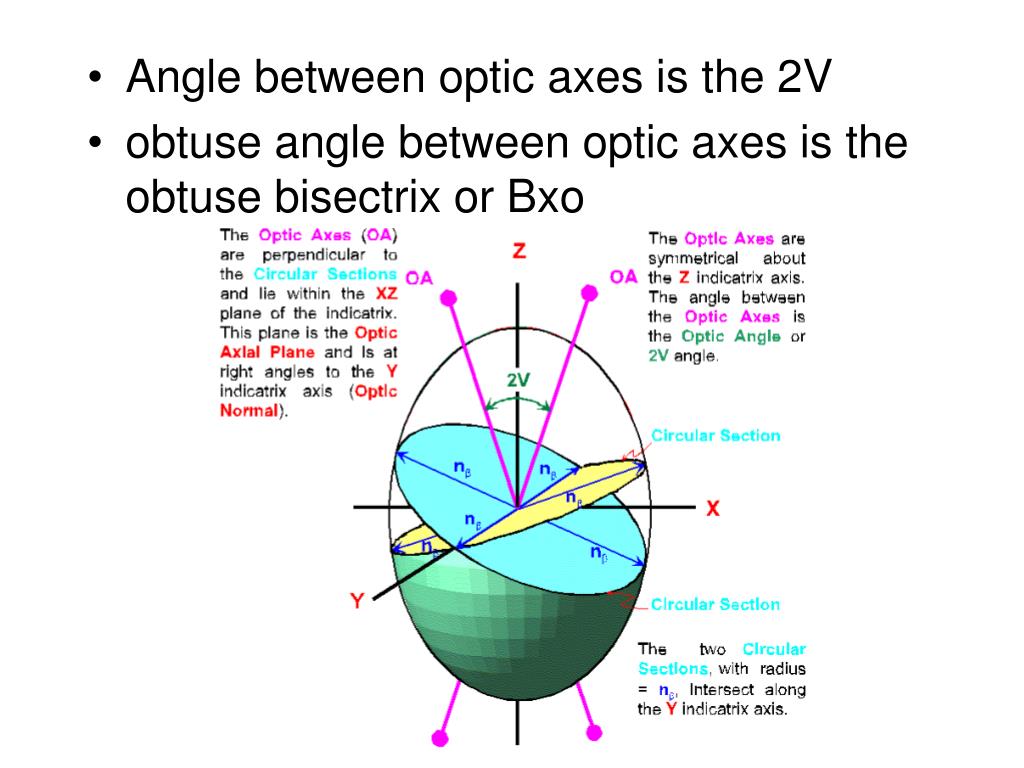 PPT Pleochroism and biaxial indicatrix PowerPoint Presentation, free