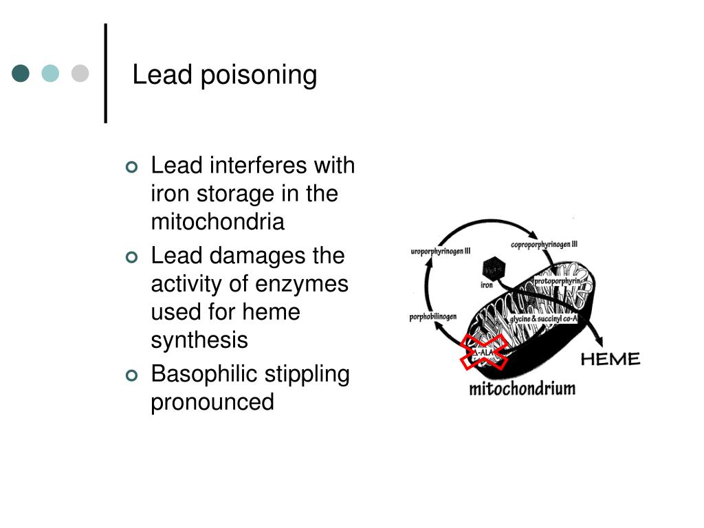 PPT MLAB 1415 Hematology Keri BrophyMartinez PowerPoint Presentation ID1142823