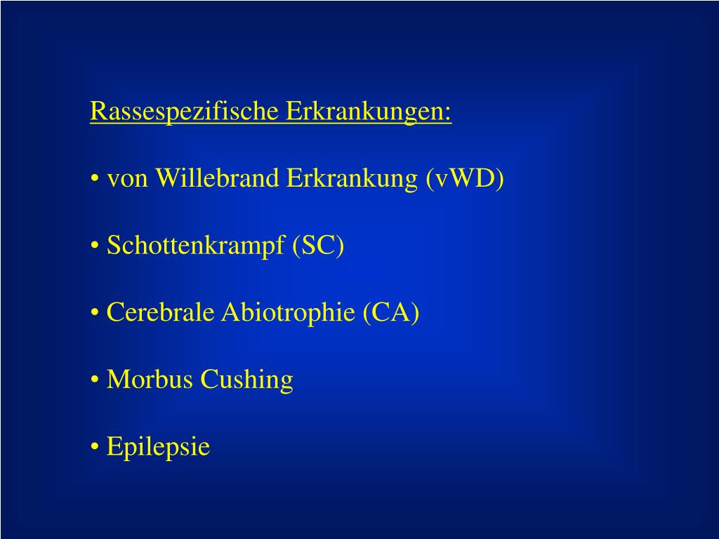 PPT Erbkrankheiten beim Scottish Terrier PowerPoint Presentation