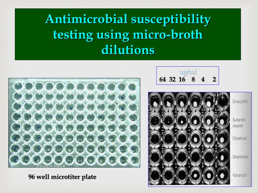 PPT Antibiotic Sensitivity Testing PowerPoint Presentation ID114544