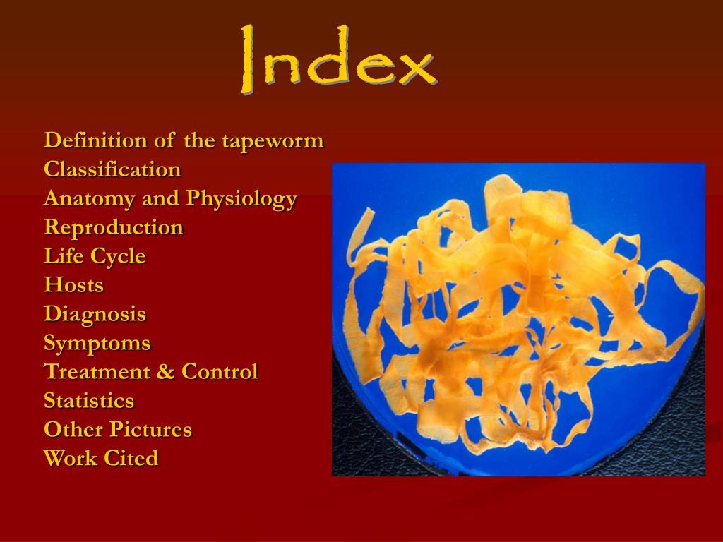 PPT Broad Fish Tapeworm PowerPoint Presentation, free download ID