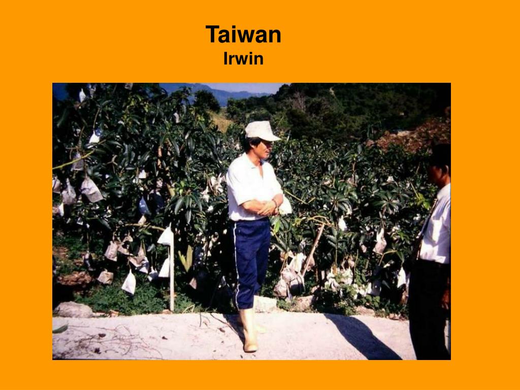 PPT Challenges Facing Mango Producers in Hawaii PowerPoint Presentation ID1151101