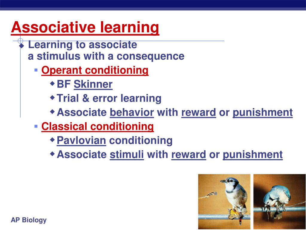 PPT Animal Behavior Chapter 51 PowerPoint Presentation, free download