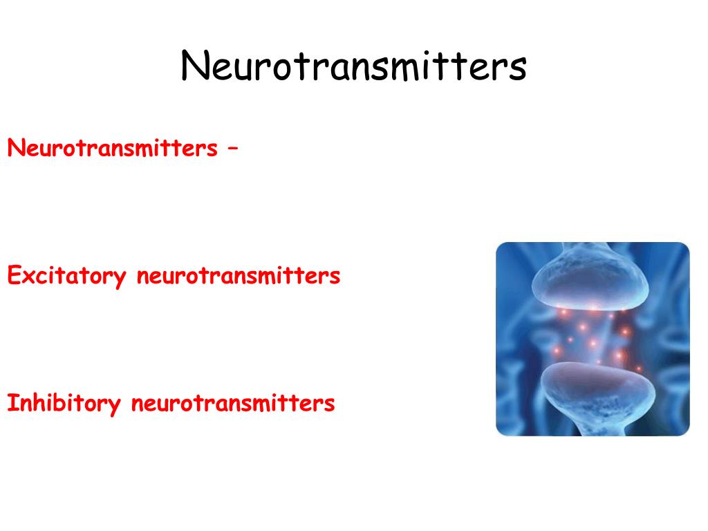 PPT Neurons PowerPoint Presentation, free download ID1153645