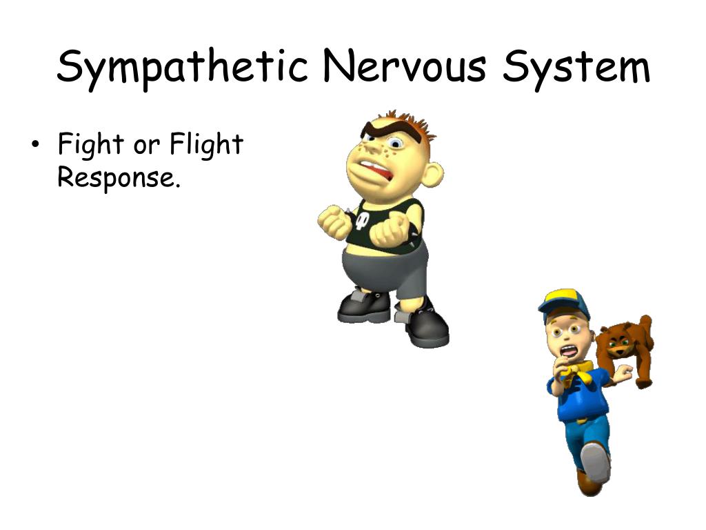PPT Neurons PowerPoint Presentation, free download ID1153645