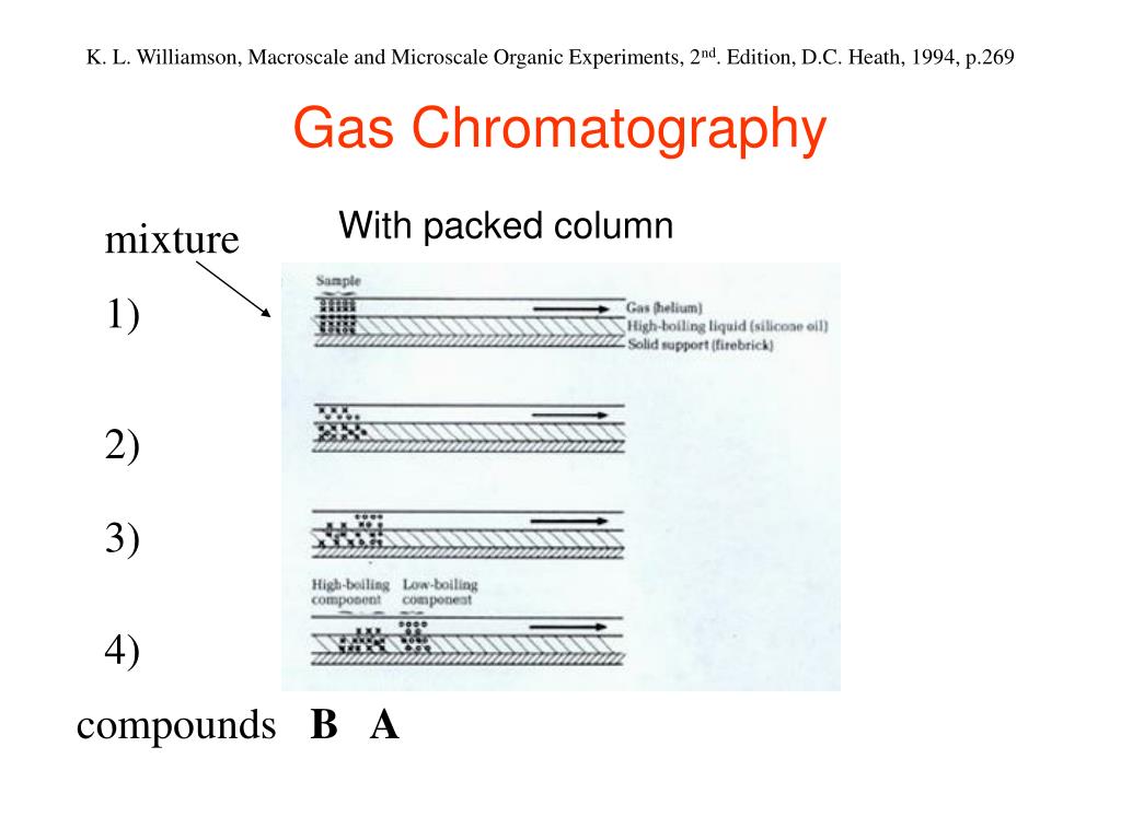 PPT Today PowerPoint Presentation, free download ID1153958