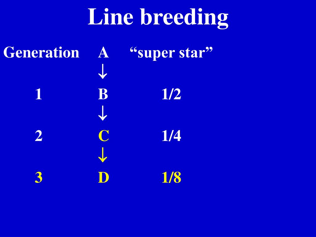 PPT Lecture 24 PowerPoint Presentation, free download ID115419