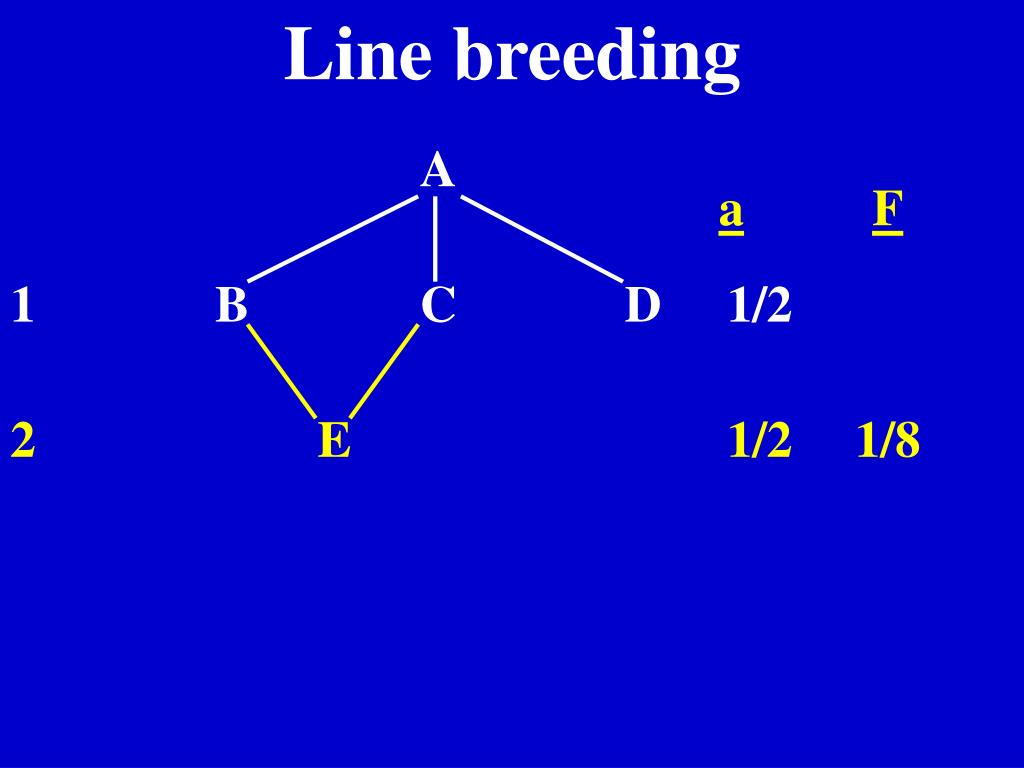 PPT Lecture 24 PowerPoint Presentation, free download ID115419