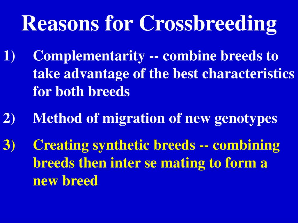 PPT Lecture 24 PowerPoint Presentation, free download ID115419