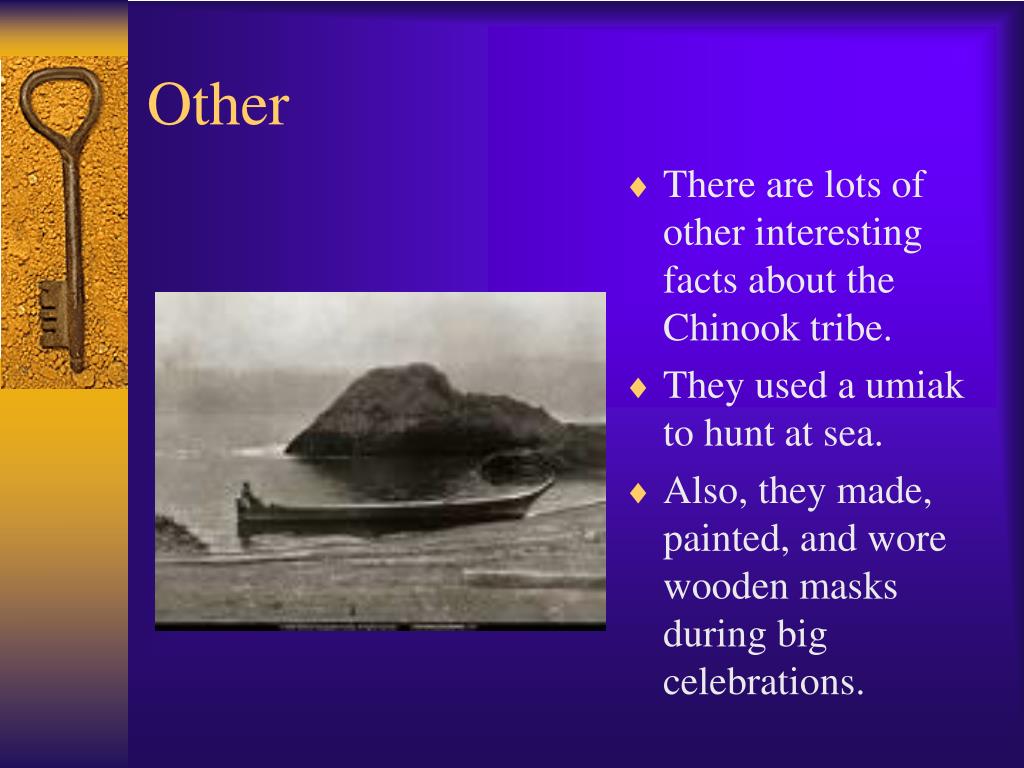 PPT Chinook Indians PowerPoint Presentation, free download ID115477