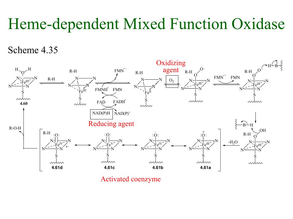 PPT The Organic Chemistry of Drug Design and Drug Action PowerPoint