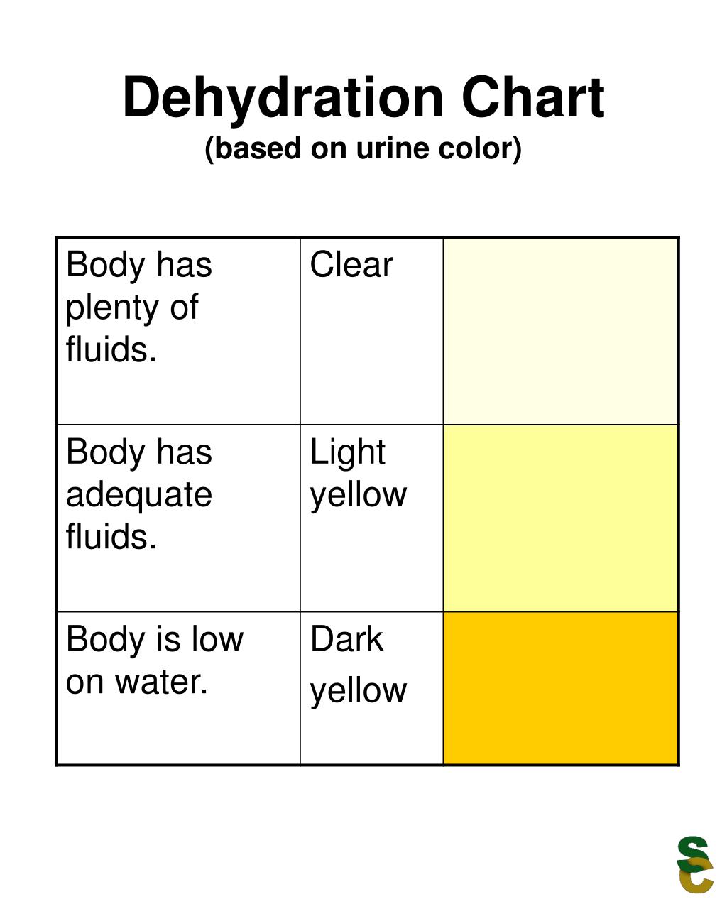 PPT Dehydration Chart (based on urine color) PowerPoint Presentation