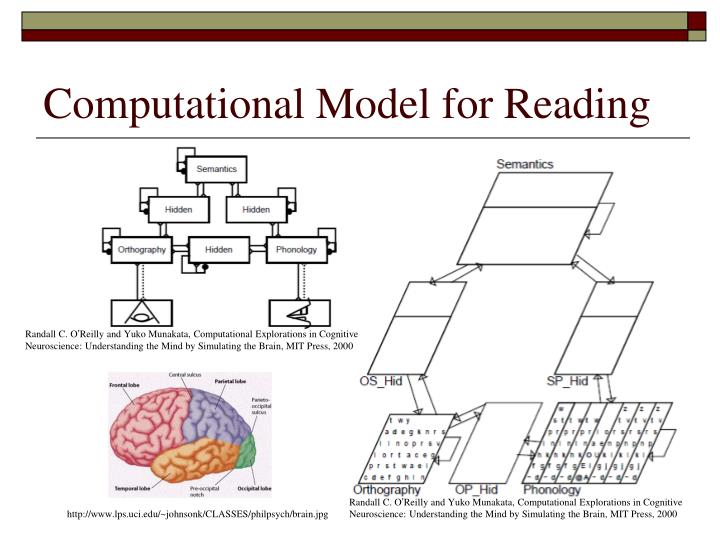 PPT Computational Cognitive Neuroscience PowerPoint Presentation ID