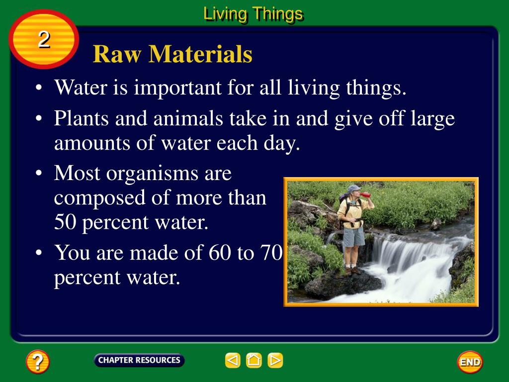 PPT Chapter Exploring and Classifying Life PowerPoint Presentation