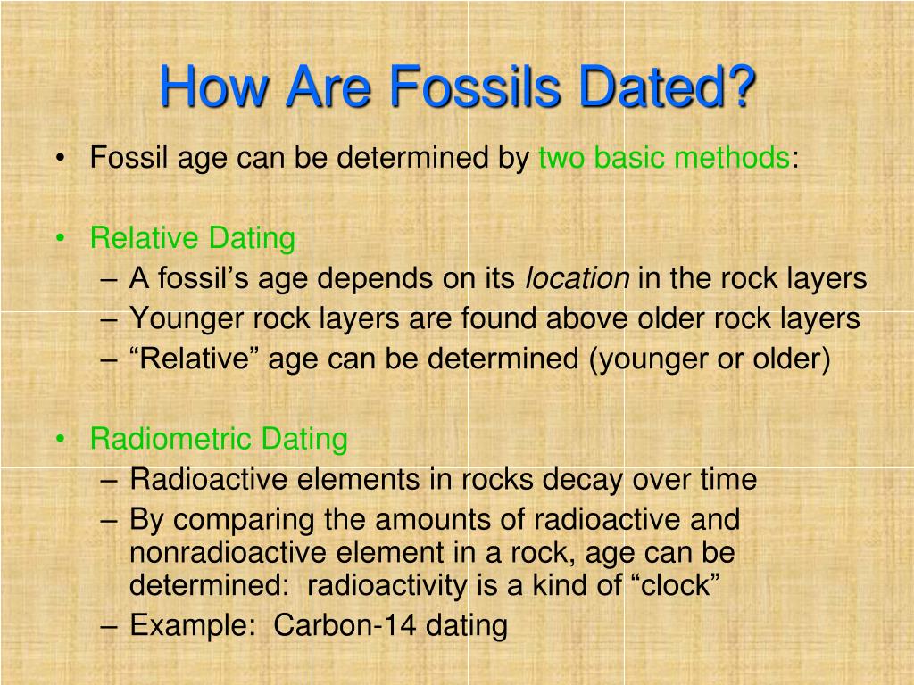 PPT Evolution PowerPoint Presentation, free download ID1174733