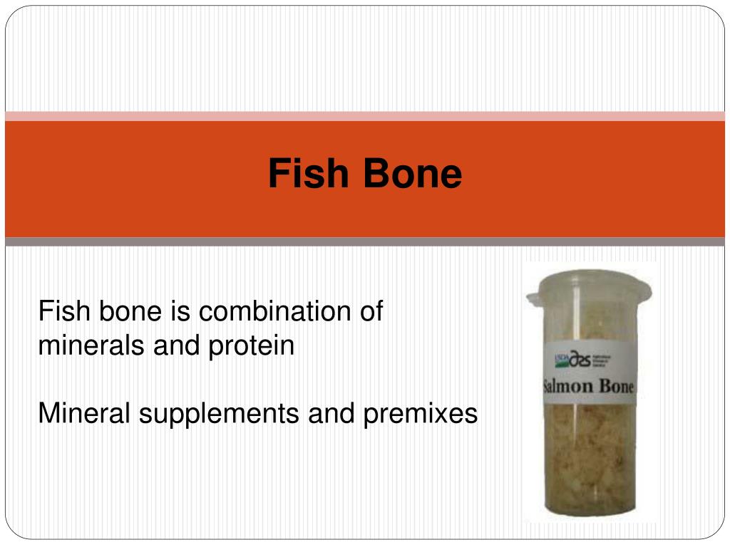 PPT Fish Meals from Fish Byproducts PowerPoint Presentation, free