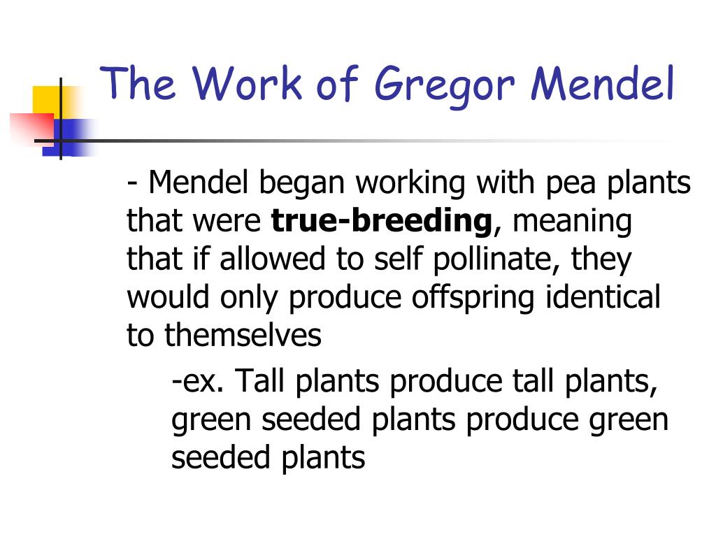 11.1 The Work Of Gregor Mendel Answer Key