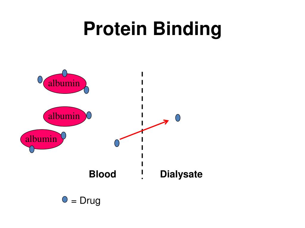 PPT American Nephrology Nurses Association PowerPoint Presentation