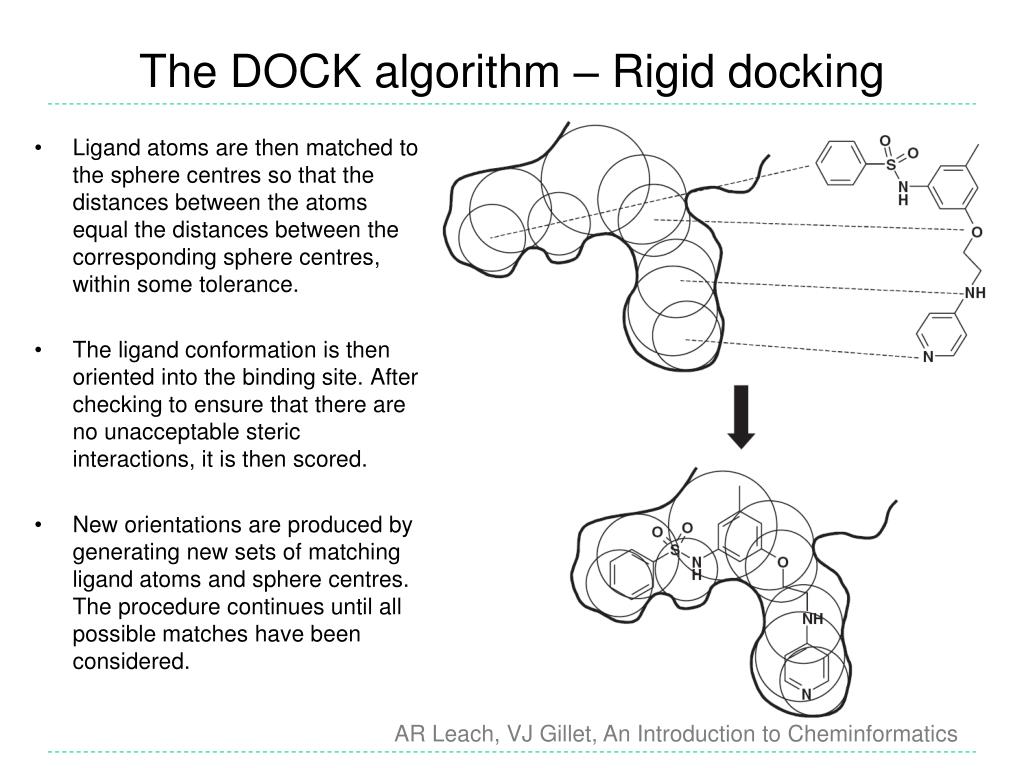 PPT ProteinLigand Docking PowerPoint Presentation, free download