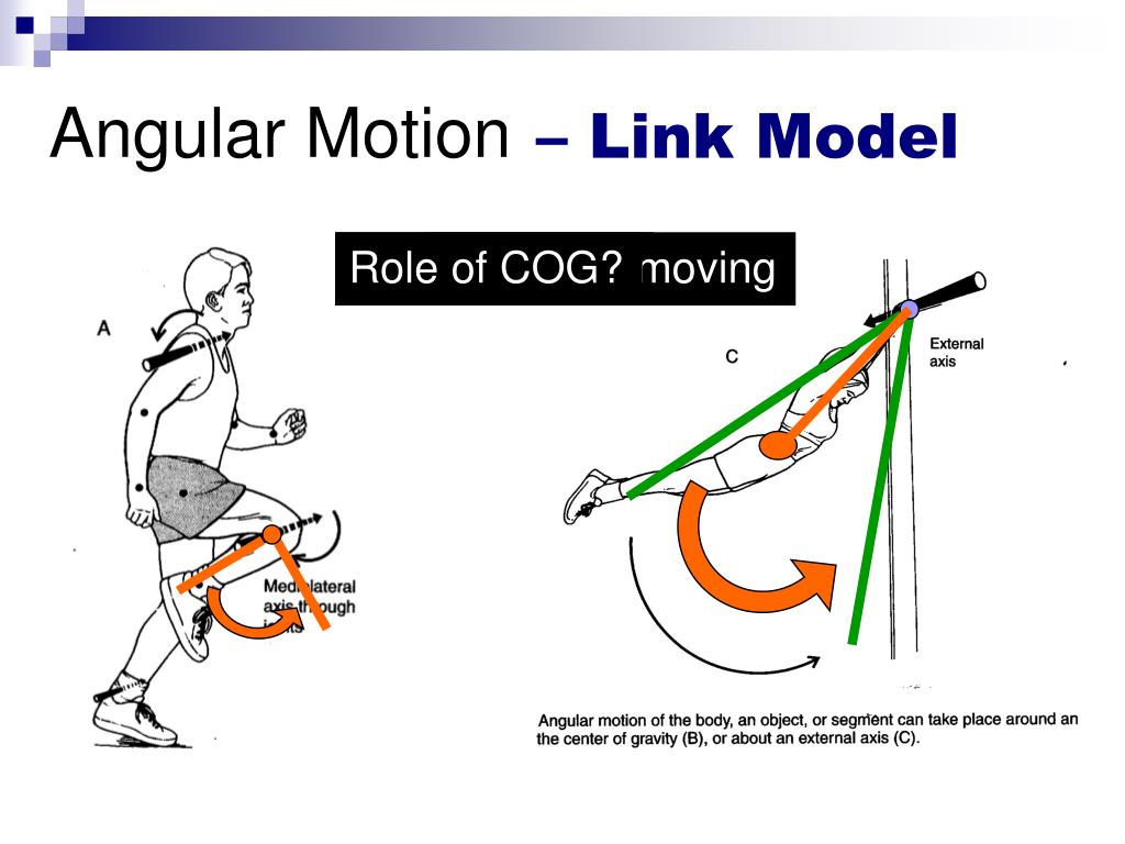 PPT Movement Terminology PowerPoint Presentation, free download ID