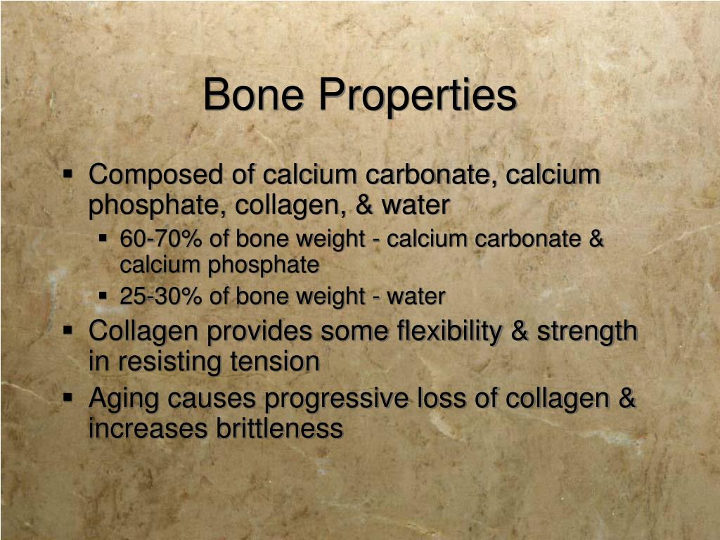 PPT Osteology PowerPoint Presentation, free download ID1185070