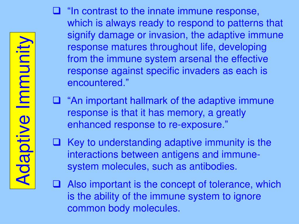 PPT Chapter 16 The Adaptive Immune Response PowerPoint Presentation