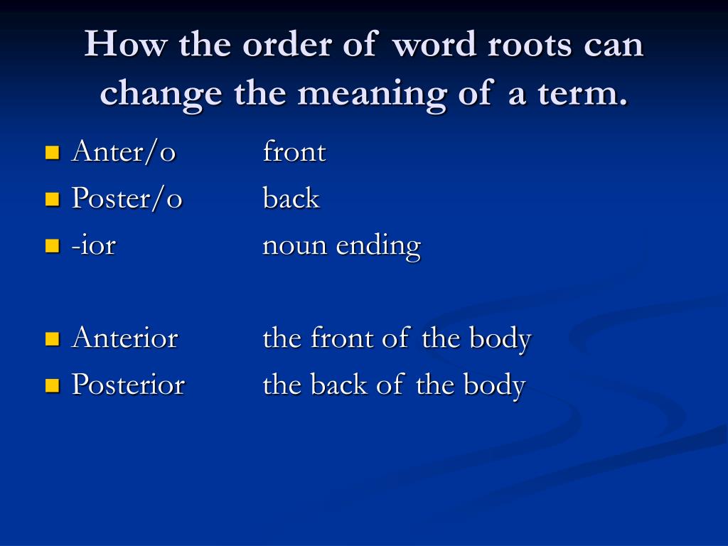 PPT Science Vocabulary PowerPoint Presentation, free download ID