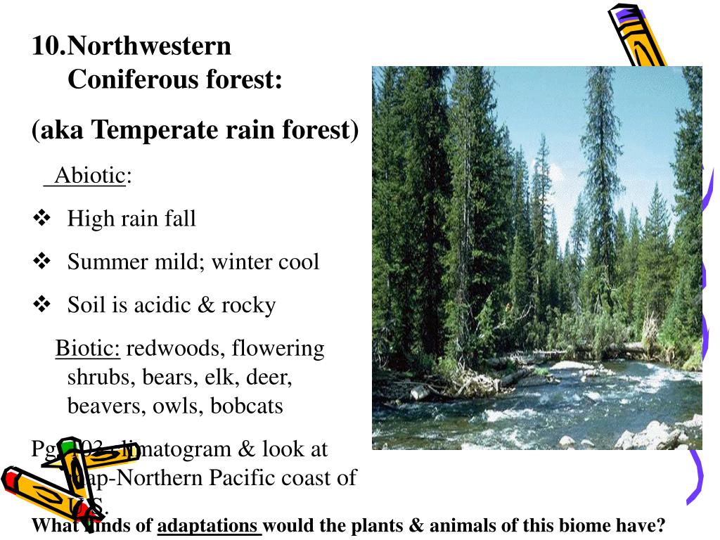 PPT Chapter 3 Ecosystems and Communities PowerPoint Presentation