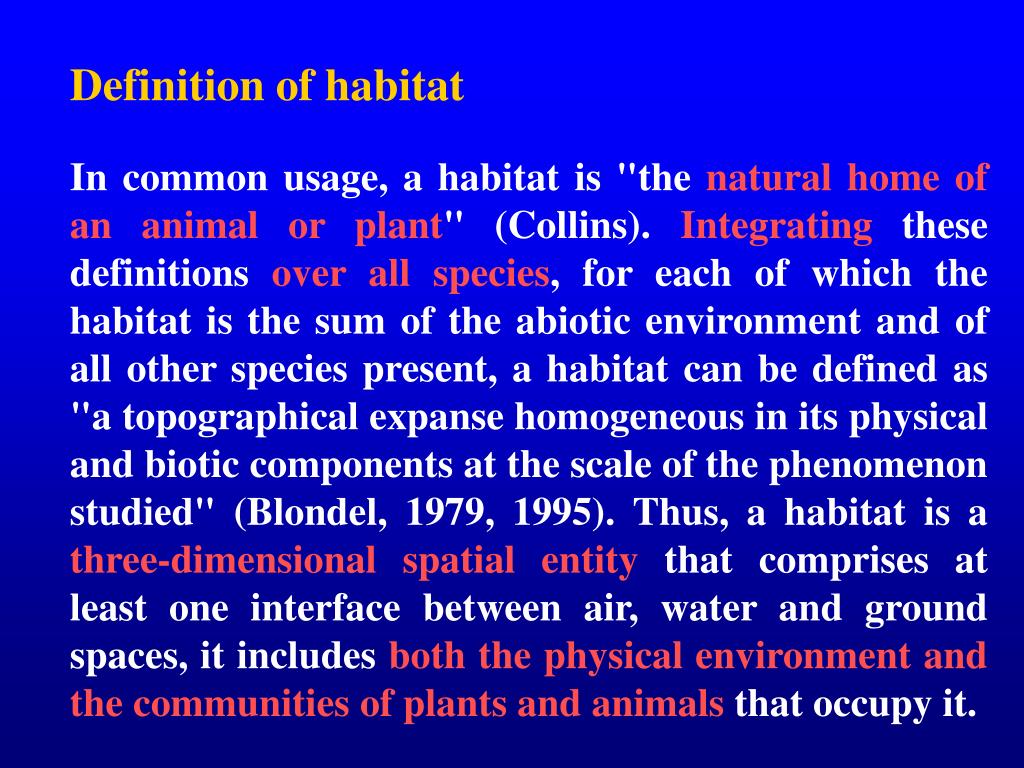 PPT PHYSIS PowerPoint Presentation, free download ID1194659