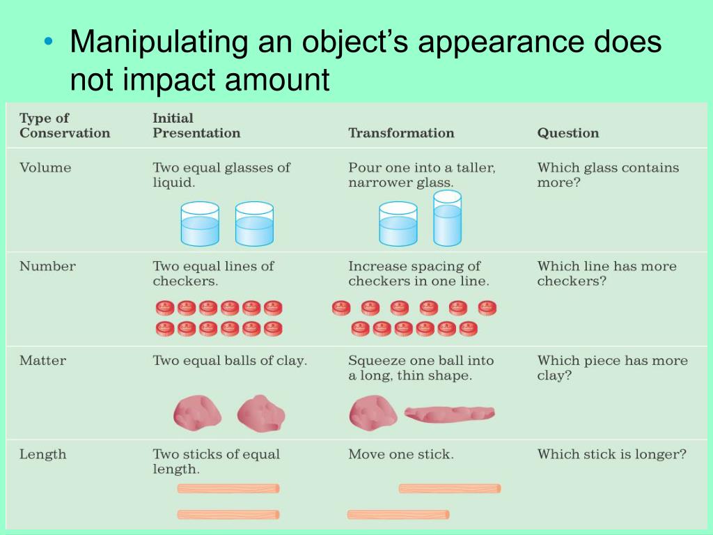 Concrete Operational Stage Definition Examples, 56 OFF