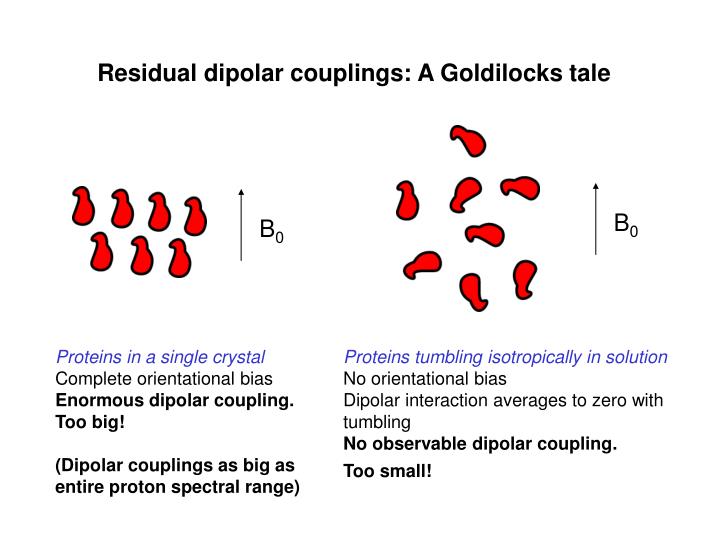 PPT Residual dipolar couplings in NMR structure determination
