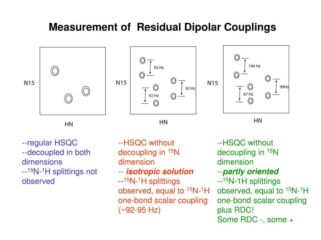 PPT Residual dipolar couplings in NMR structure determination PowerPoint Presentation ID1200428