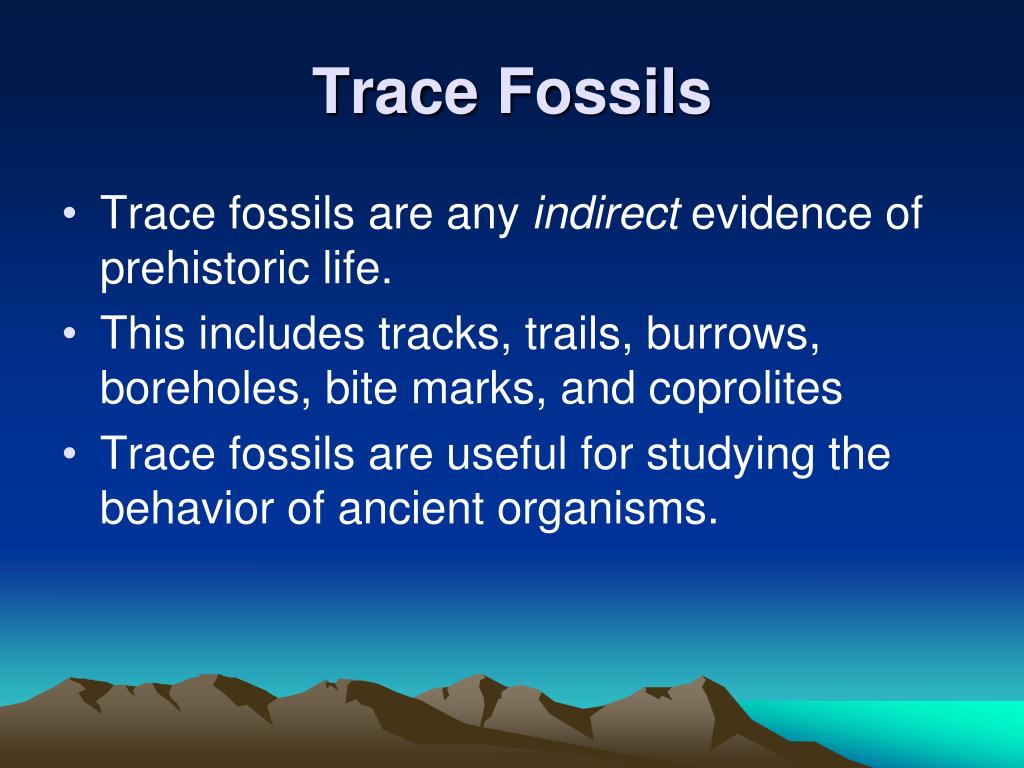PPT Paleontology PowerPoint Presentation, free download ID1201993