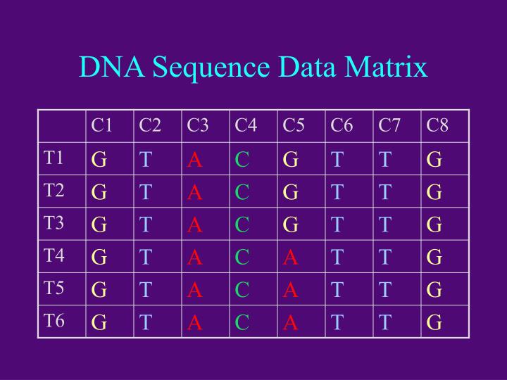 PPT Introduction to Systematics PowerPoint Presentation
