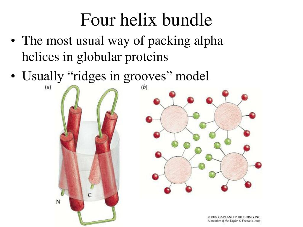 PPT AlphaDomain Structures PowerPoint Presentation, free download