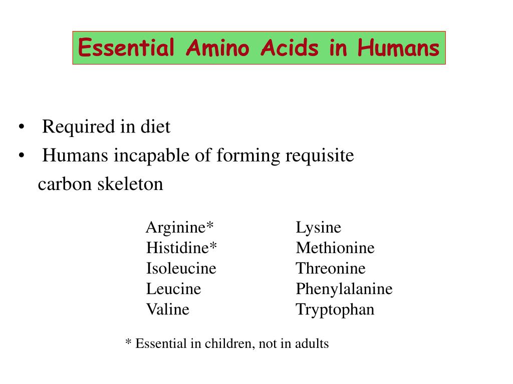 PPT AMINO ACIDS PowerPoint Presentation, free download ID1205136