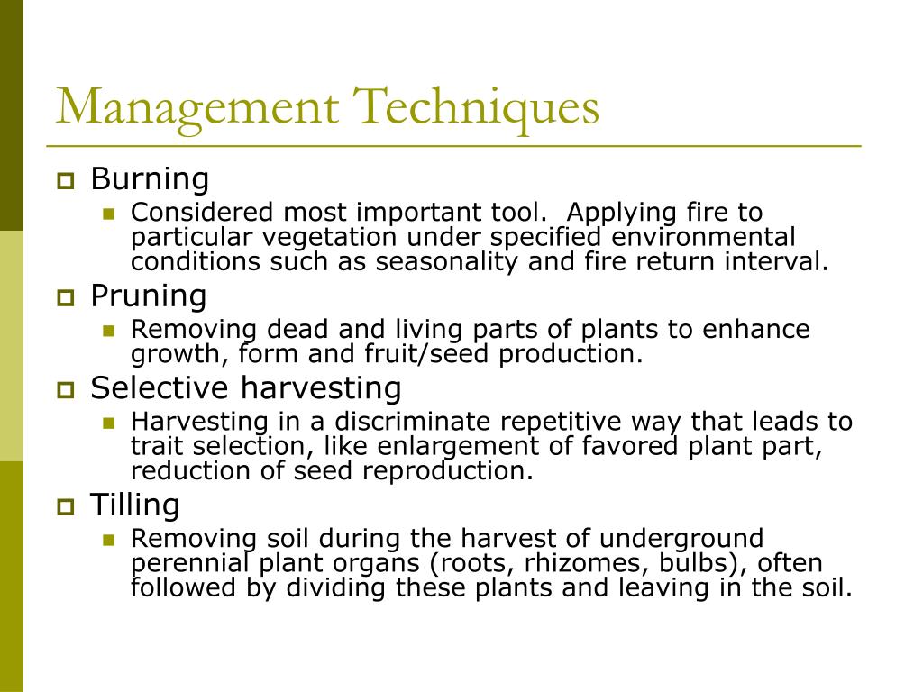 PPT Native American Land Management PowerPoint Presentation, free