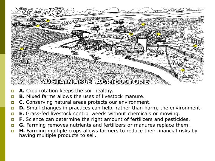 PPT Sustainable Agriculture PowerPoint Presentation ID1208193