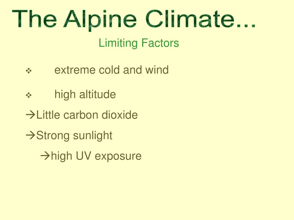 PPT Alpine Biome PowerPoint Presentation, free download ID1208910