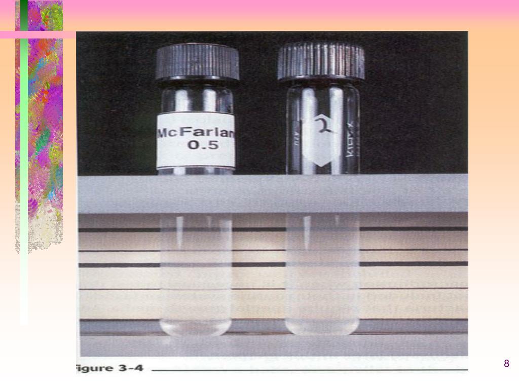 PPT Performance Standards for Antimicrobial Susceptibility testing PowerPoint Presentation