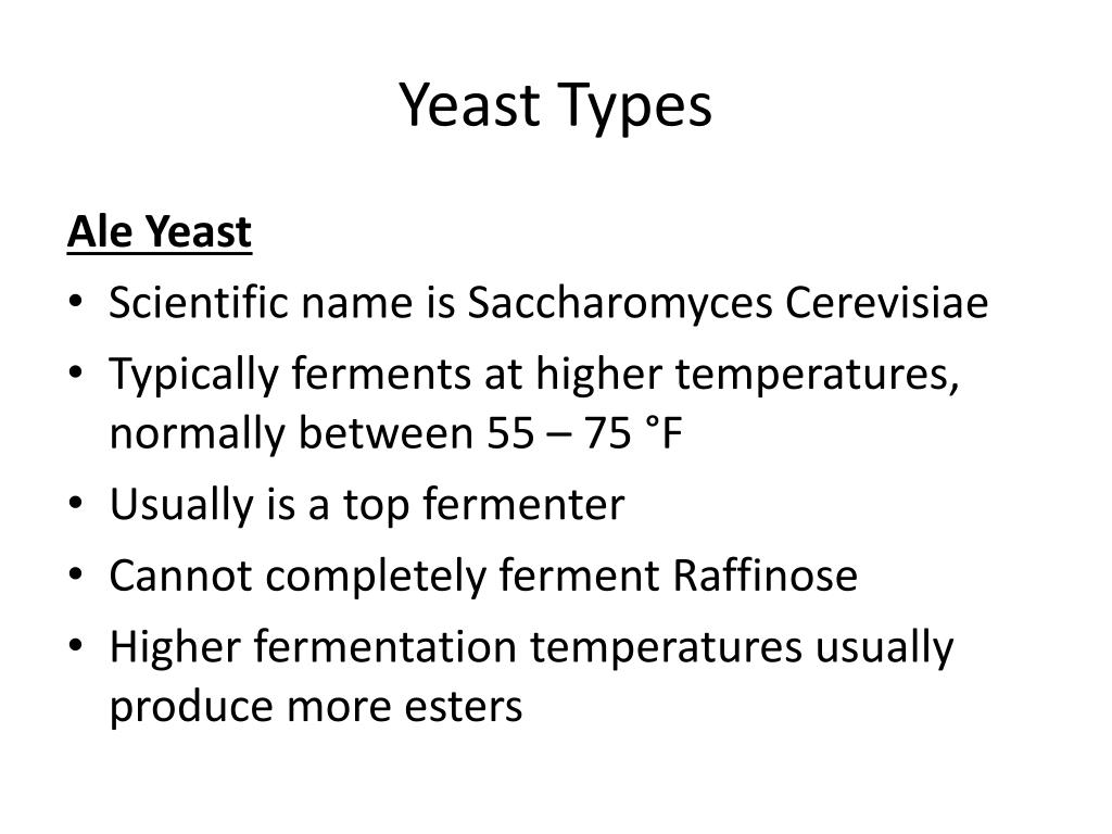 PPT Beer Basics Yeast October 2007 PowerPoint Presentation, free