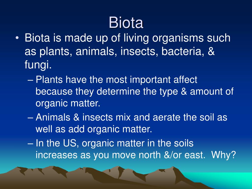 PPT Factors Affecting Soil Formation PowerPoint Presentation, free