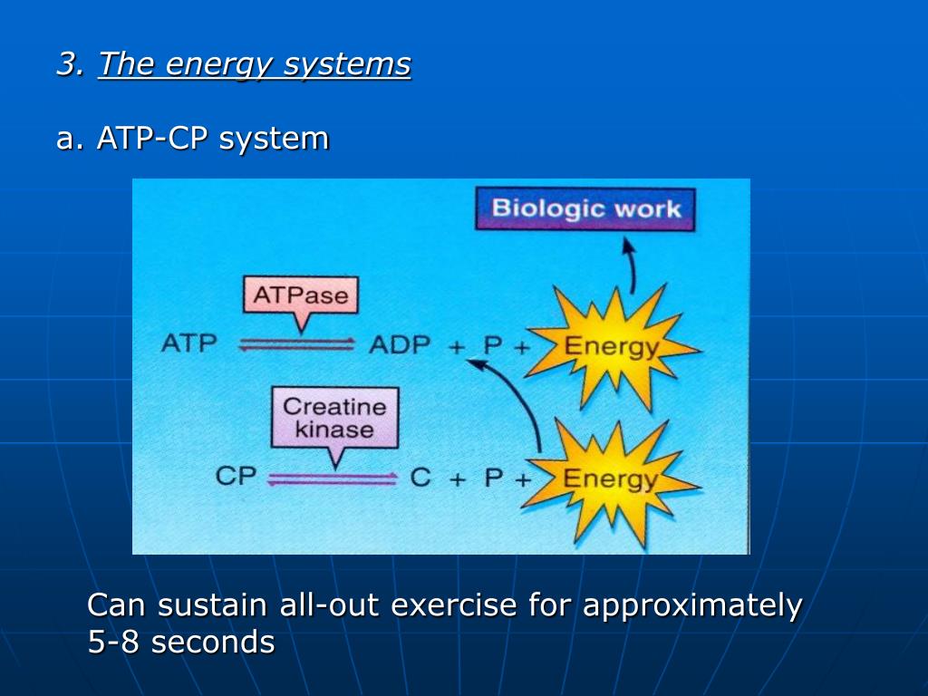 PPT Aerobic Conditioning PowerPoint Presentation, free download ID