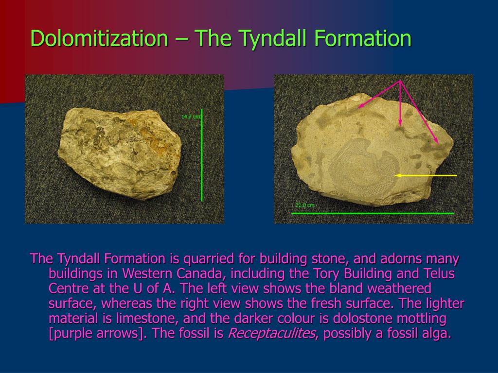 PPT BIOCHEMICAL SEDIMENTARY ROCKS PowerPoint Presentation, free